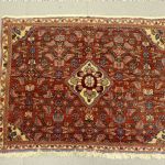 879 4006 ORIENTAL RUG